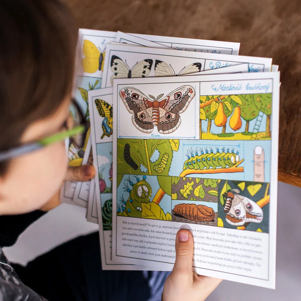 Montessori pro věk 6-9 let: Vzhůru do společnosti