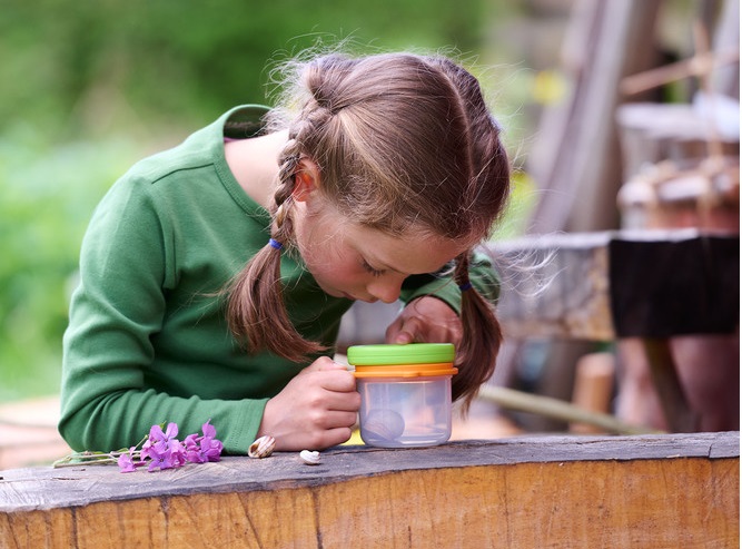 Pozorujte zázraky přírody zblízka s Terra Kids